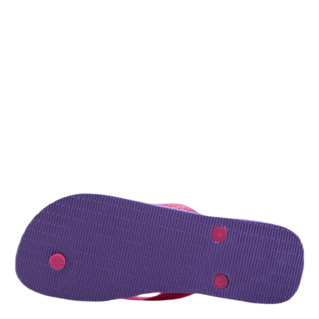 Brasil Fresh Pink/Purple