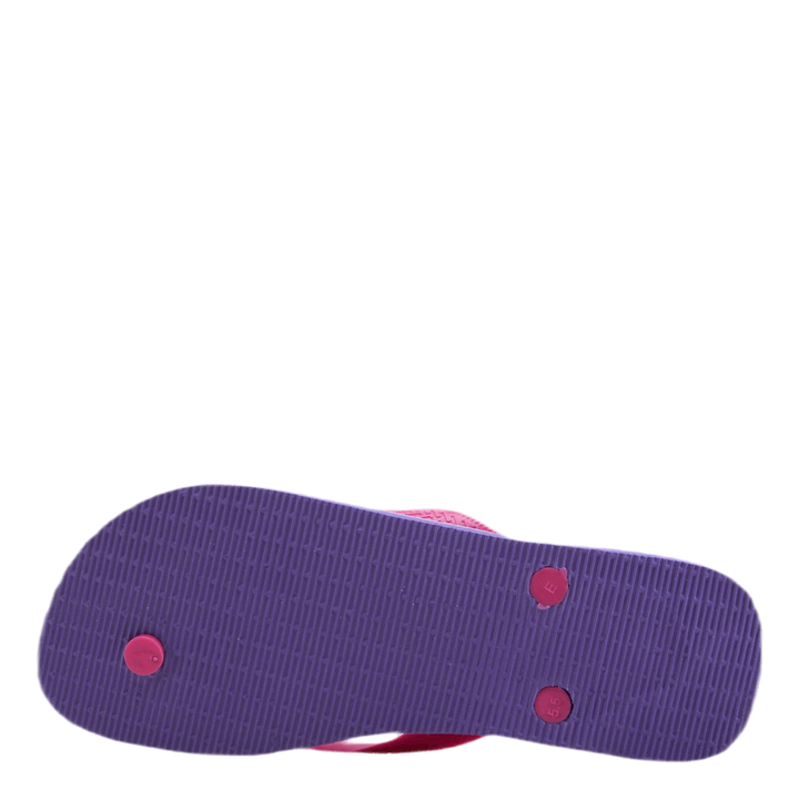 Brasil Fresh Pink/Purple