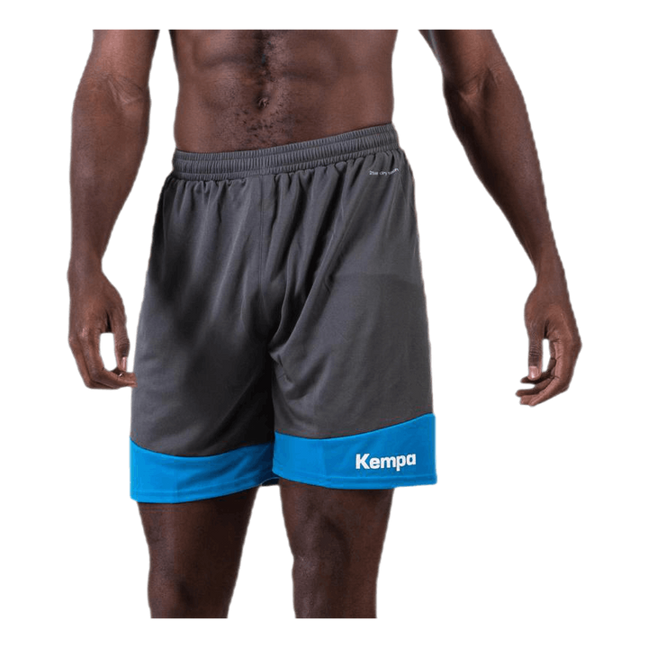 Emotion 2.0 Shorts Blue/Grey
