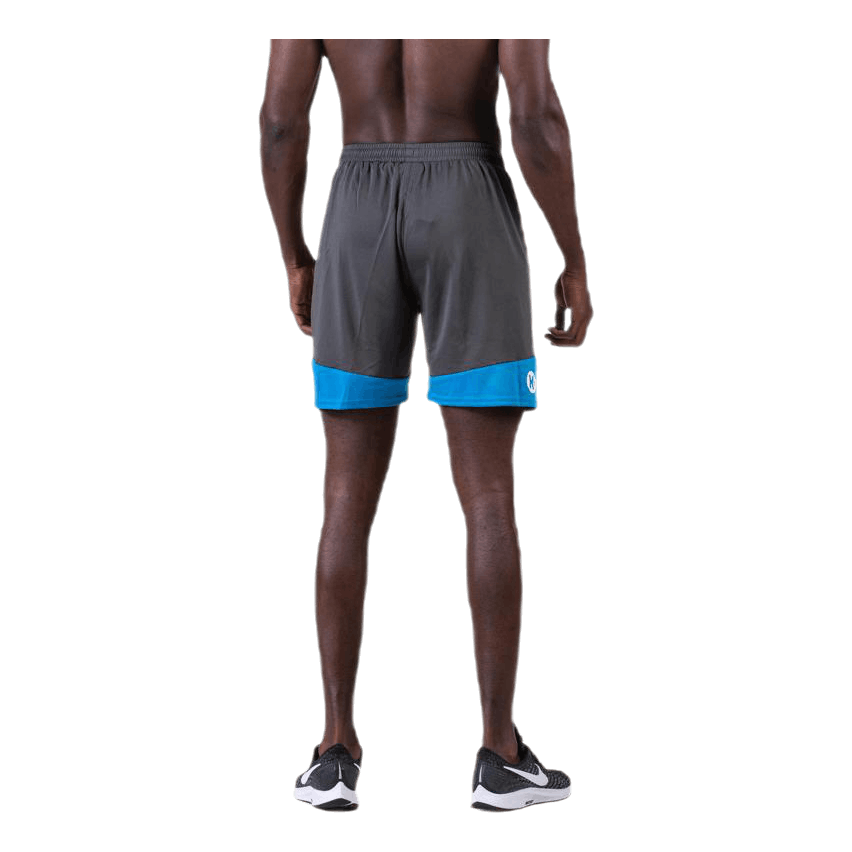 Emotion 2.0 Shorts Blue/Grey