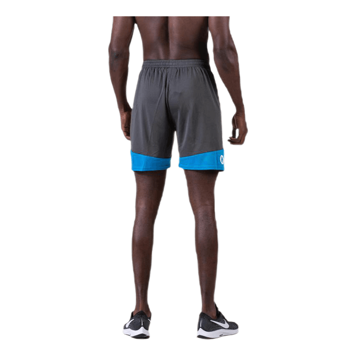 Emotion 2.0 Shorts Blue/Grey