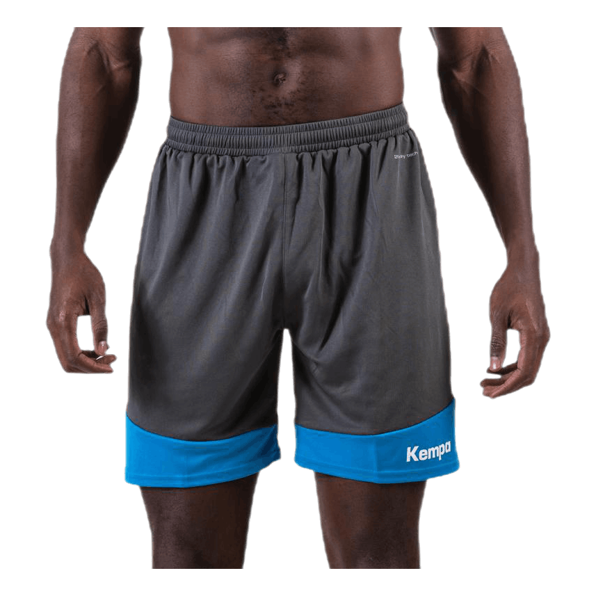 Emotion 2.0 Shorts Blue/Grey