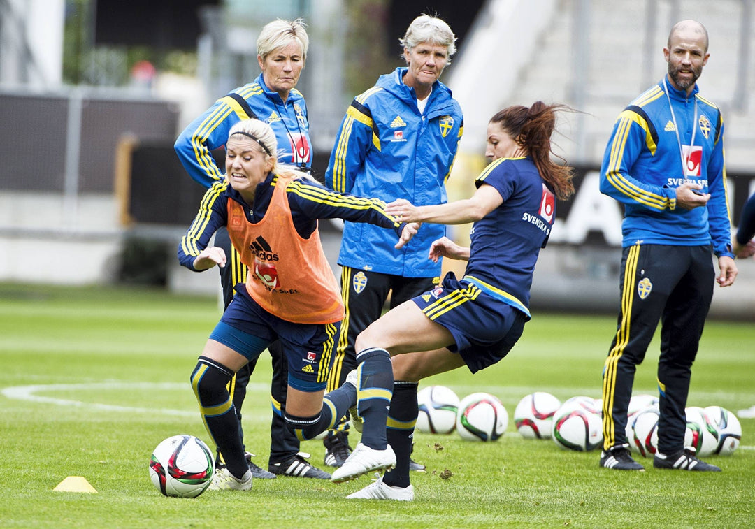 Revanschsuget Sverige blickar mot EM Image