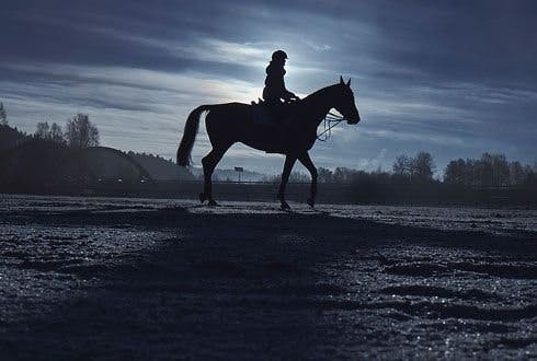 Tænk på det her når du køber ridebukser Image