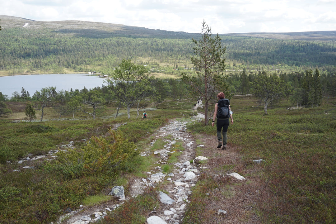 Kan jeg vaske skallplaggene mine i vaskemaskinen? Image