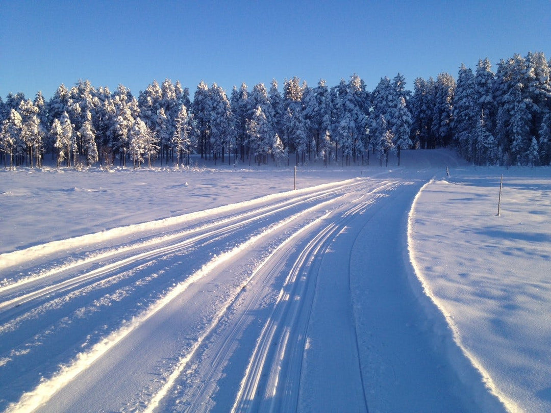 Träna inför Vasaloppet i Dalarna Image