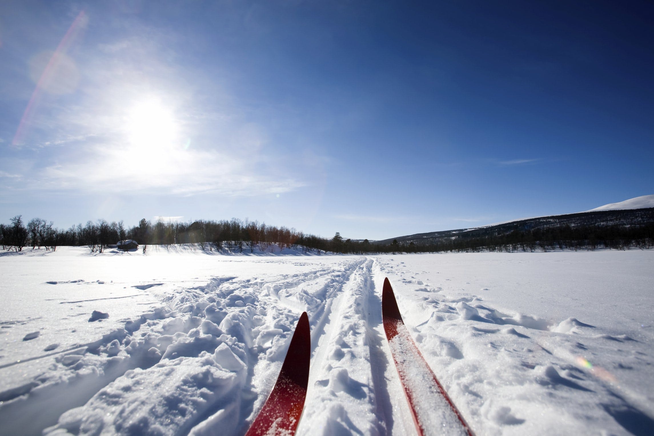 Bien choisir vos skis de fond Image