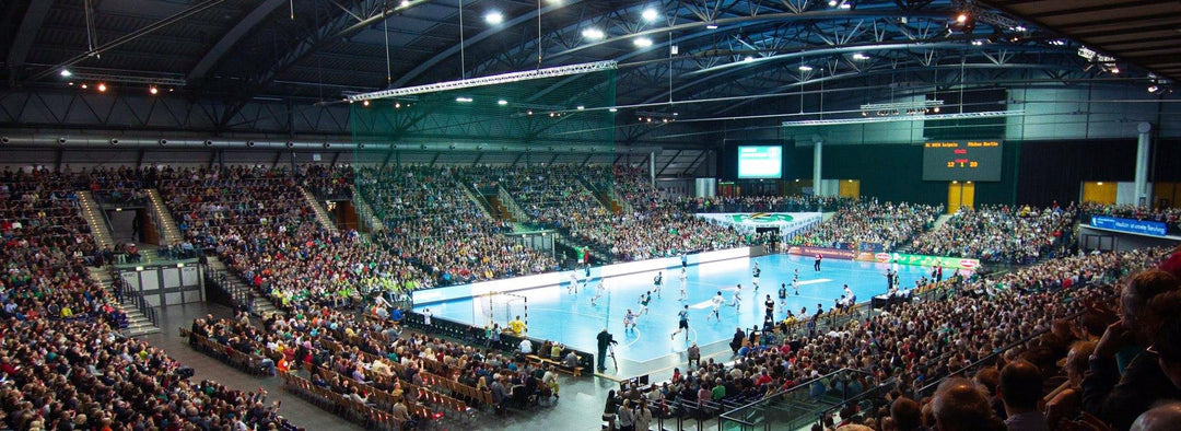 Salming stärker greppet om handbollen Image