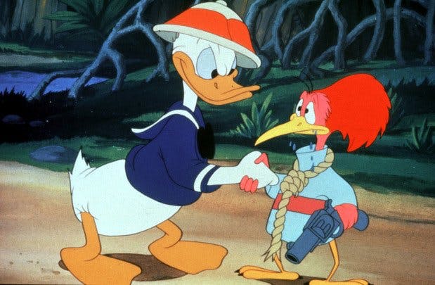 Träna under Kalle Anka! Image