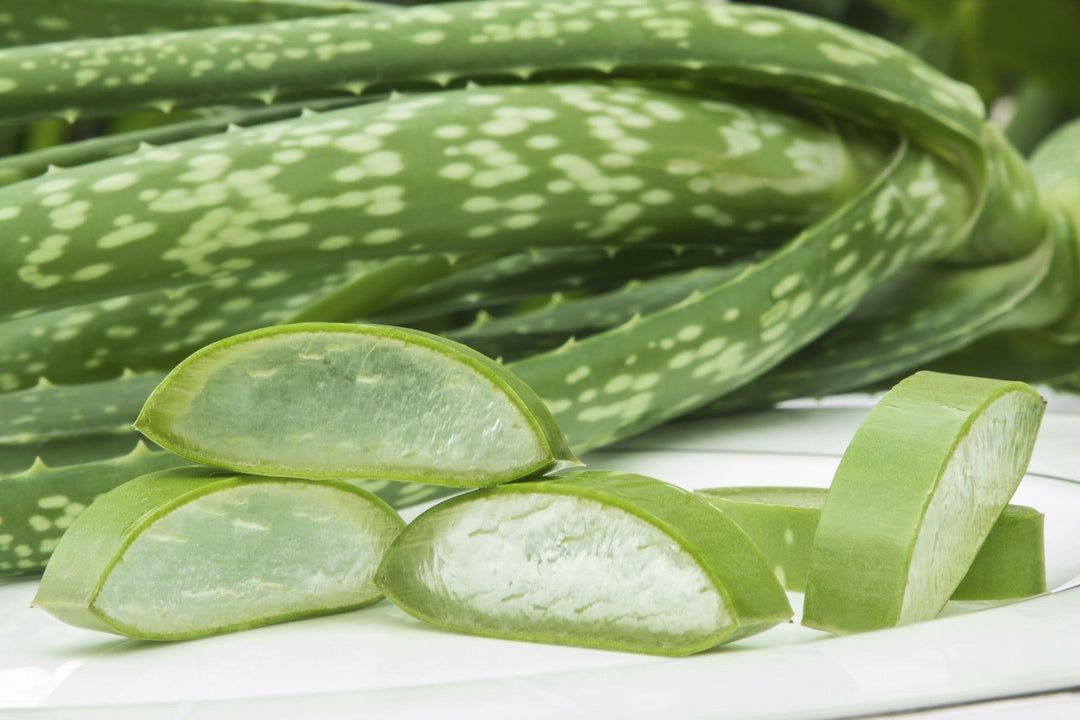 Aloe vera – den nya grönkålen Image
