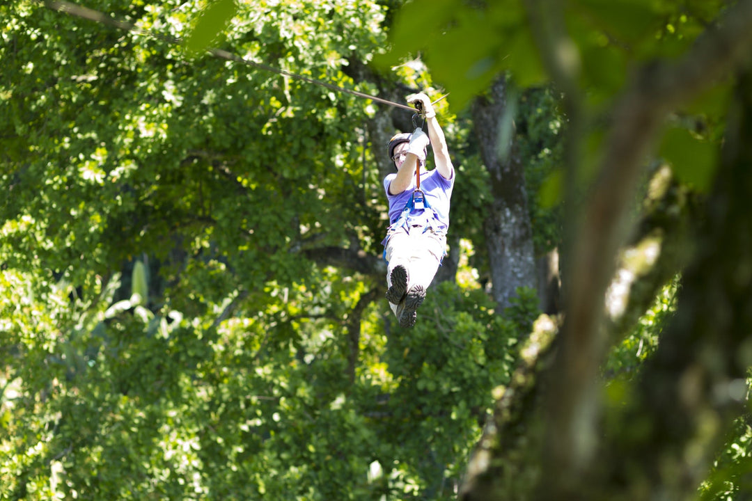 Sveriges 3 bästa ziplines Image