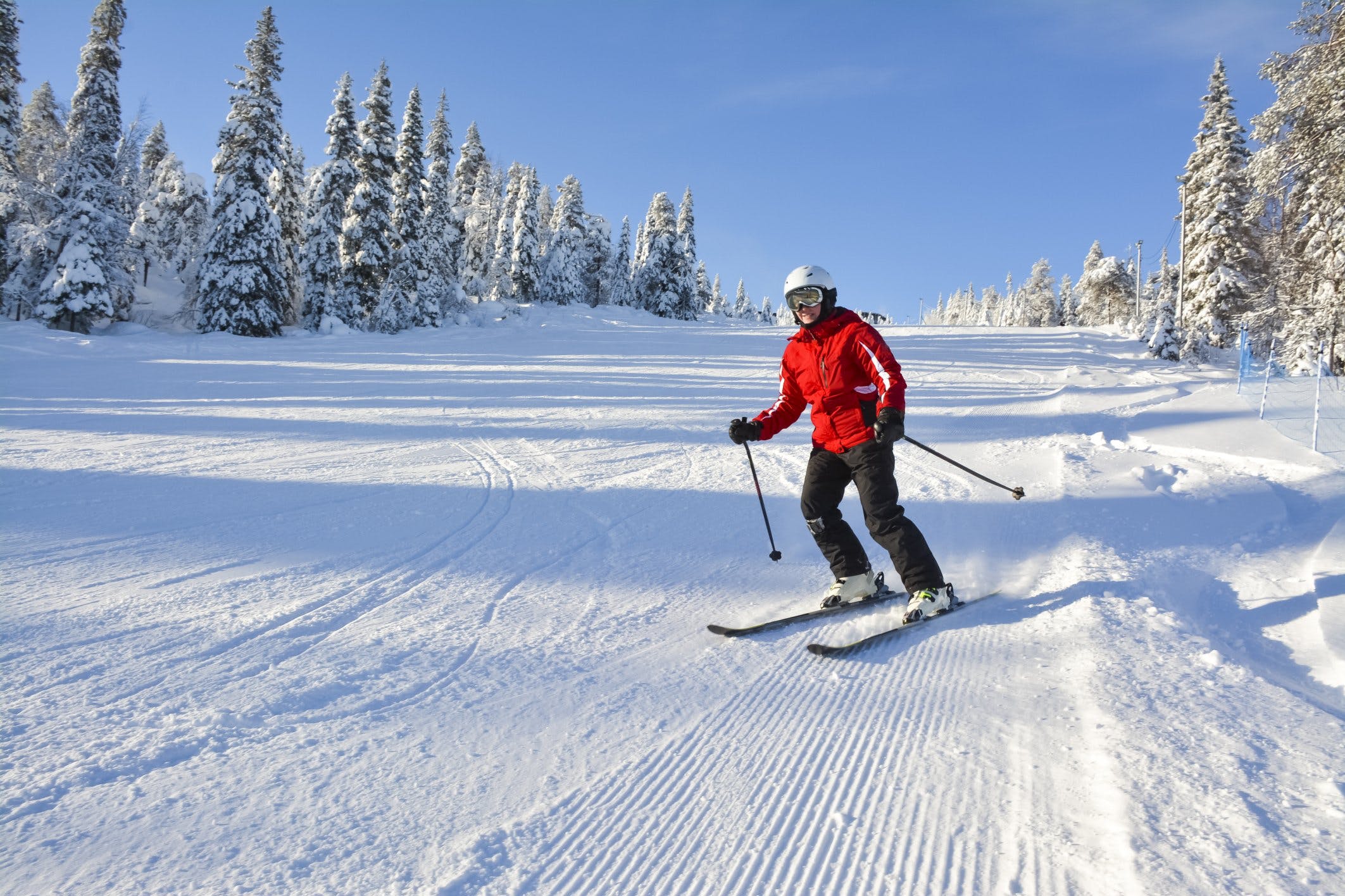 Perfekta väskan för skidresan Image