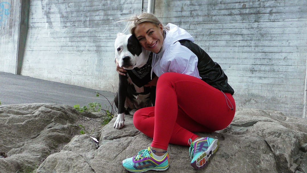 Slik trener du med hund Image