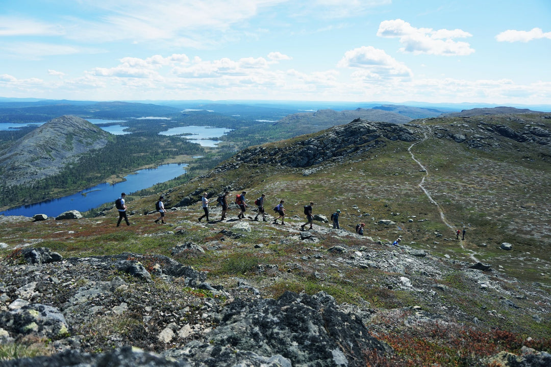 Kan jeg vandre i træningstights? Image