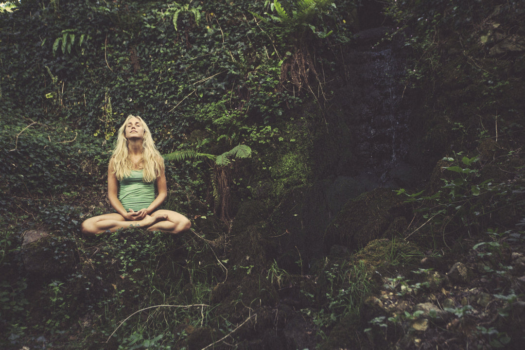 Experten: Därför älskar jag meditation Image