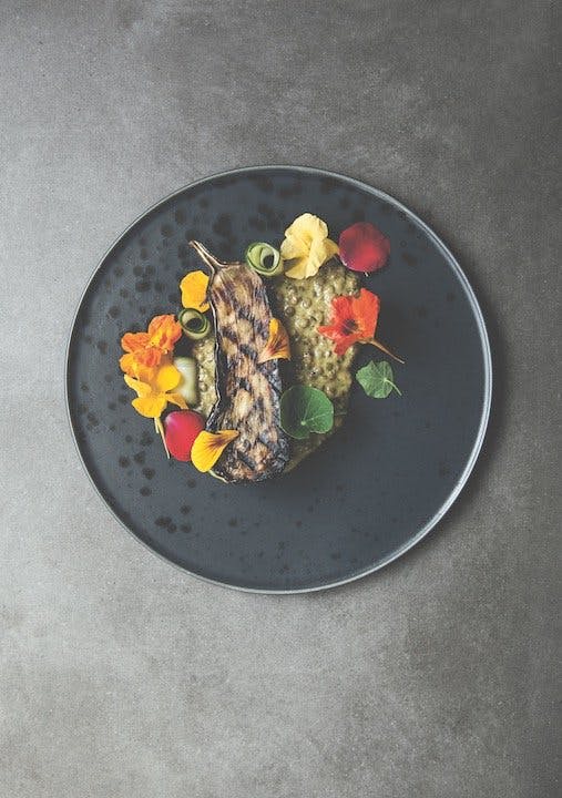 Vegetarmad til livsnydere Image