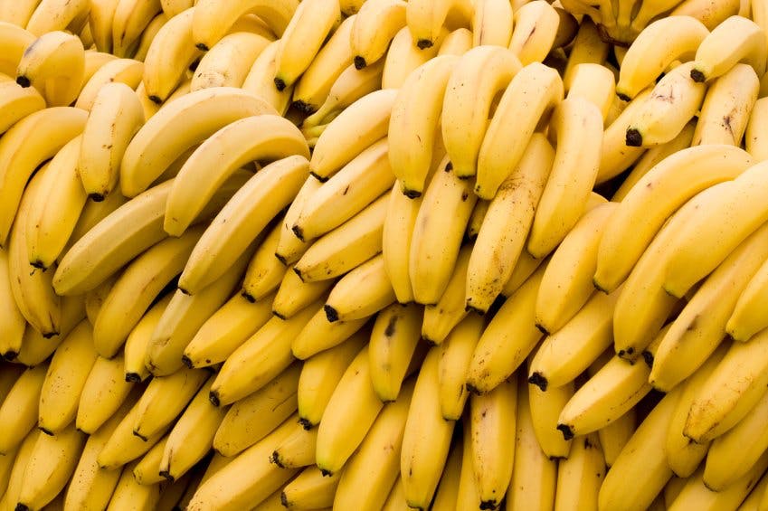 Näringsfysiologen sågar banandieten Image