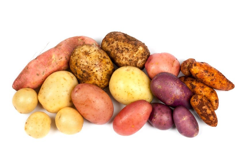 Är sötpotatis bättre än vanlig potatis? Image