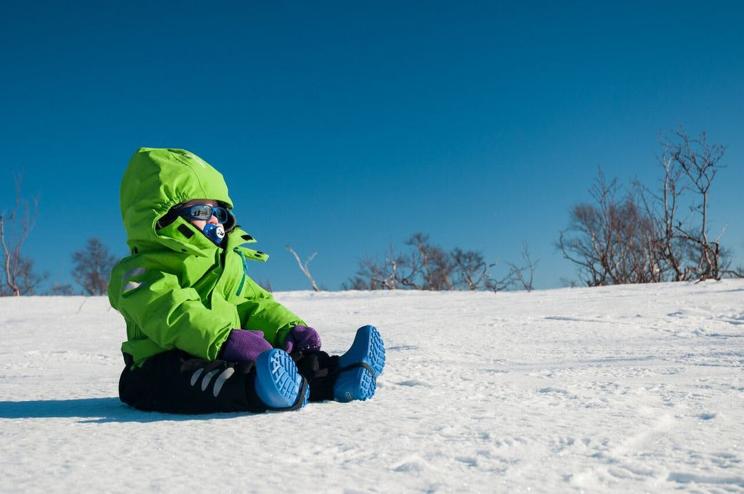 Isbjörn of Sweden: Bedst i test for fjerde år i træk! Image