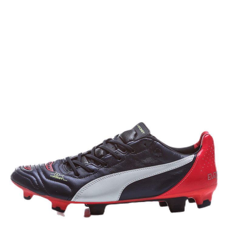 EvoPower 1.2 Leather FG Purple Sportamore