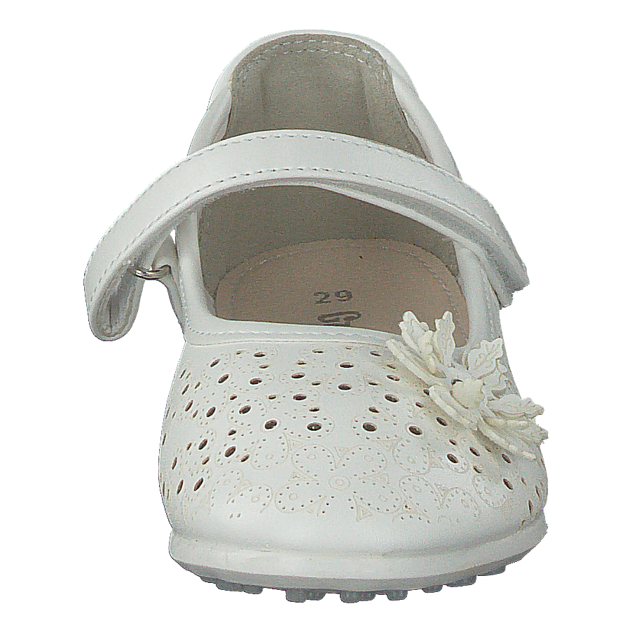 433-0350 White