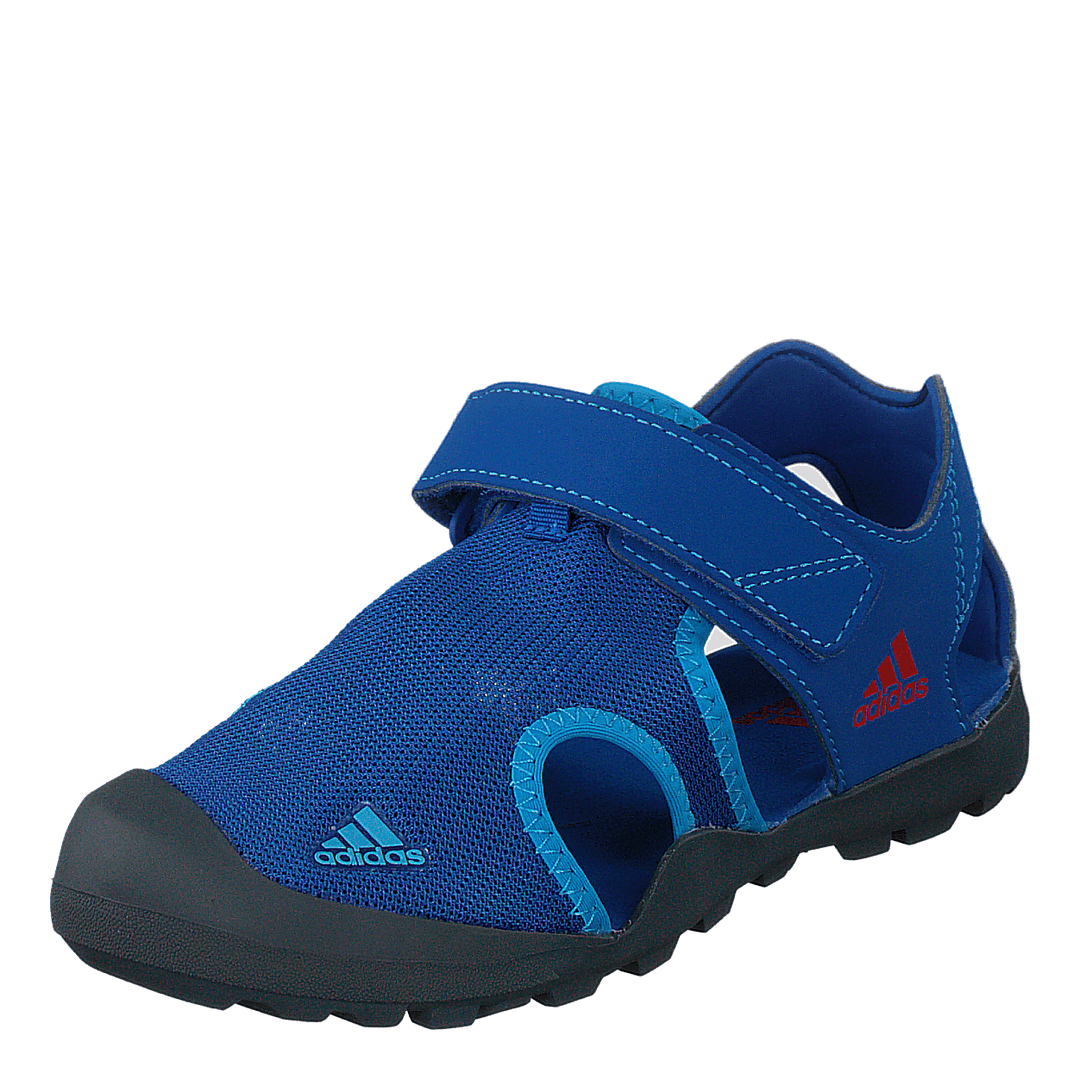 Captain Toey Shoes Blue Beauty / Grey Six / Active Red