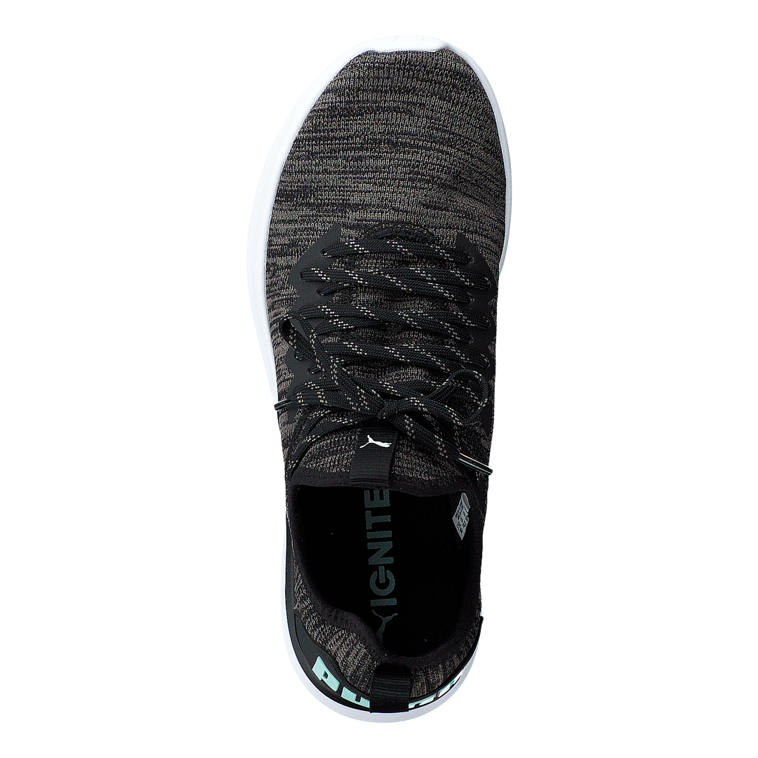 Puma ignite 2025 flash evoknit black