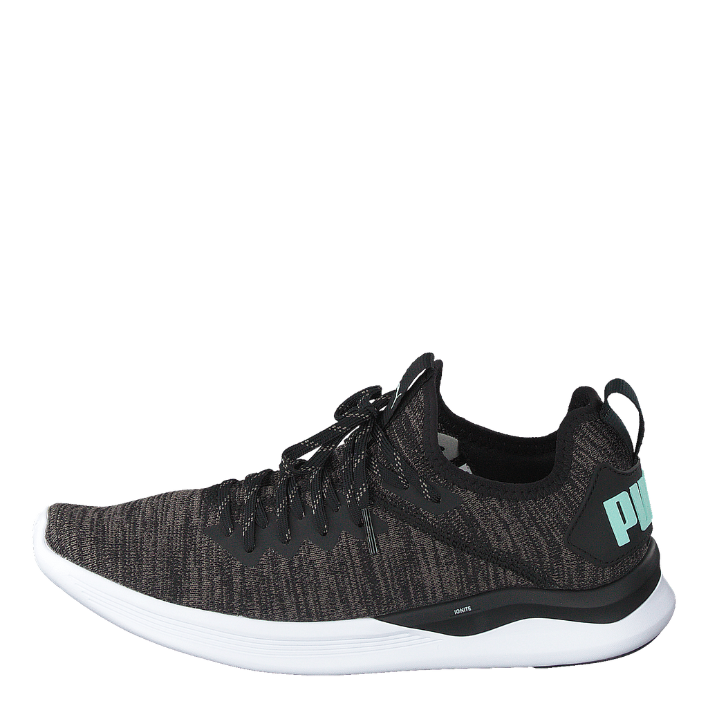 PUMA IGNITE Flash evoKNIT erfolgreicher Athletic
