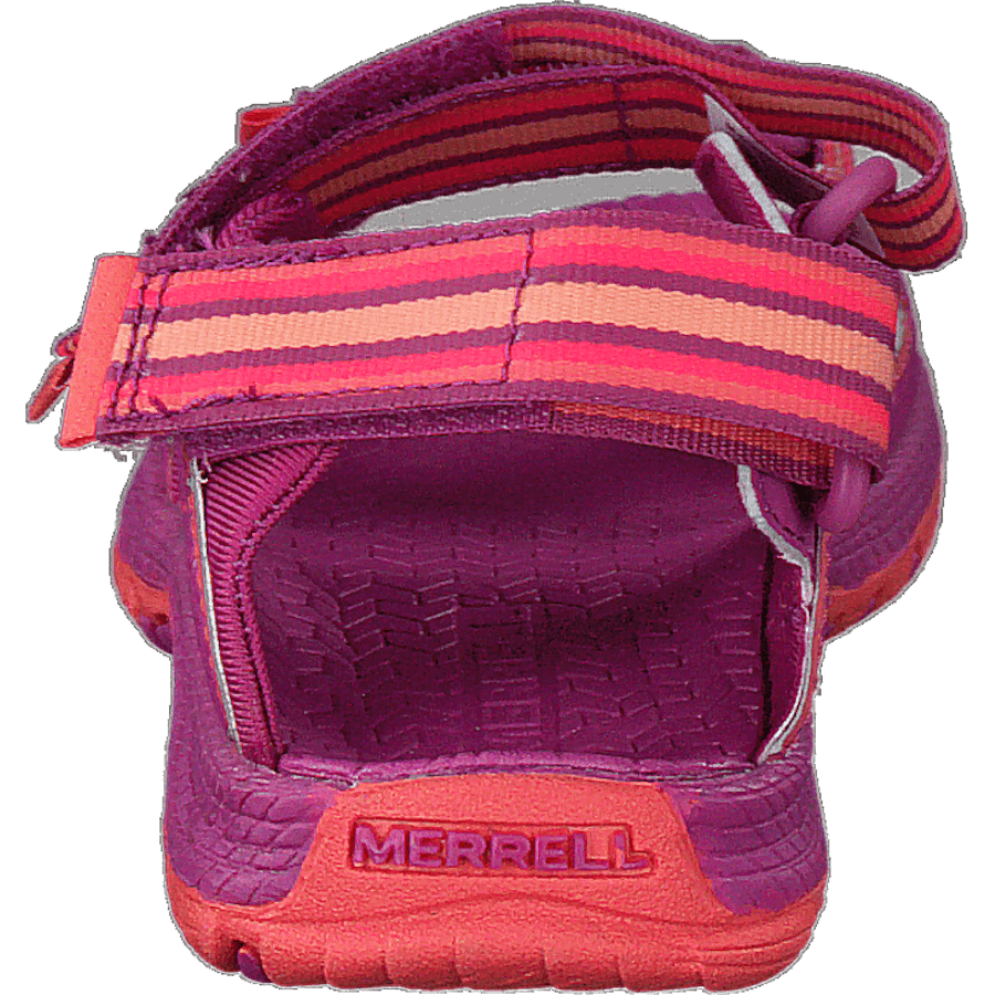 Hydro Blaze Purple/coral