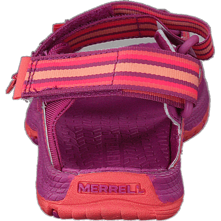 Hydro Blaze Purple/coral