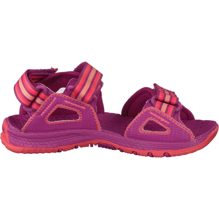 Hydro Blaze Purple/coral