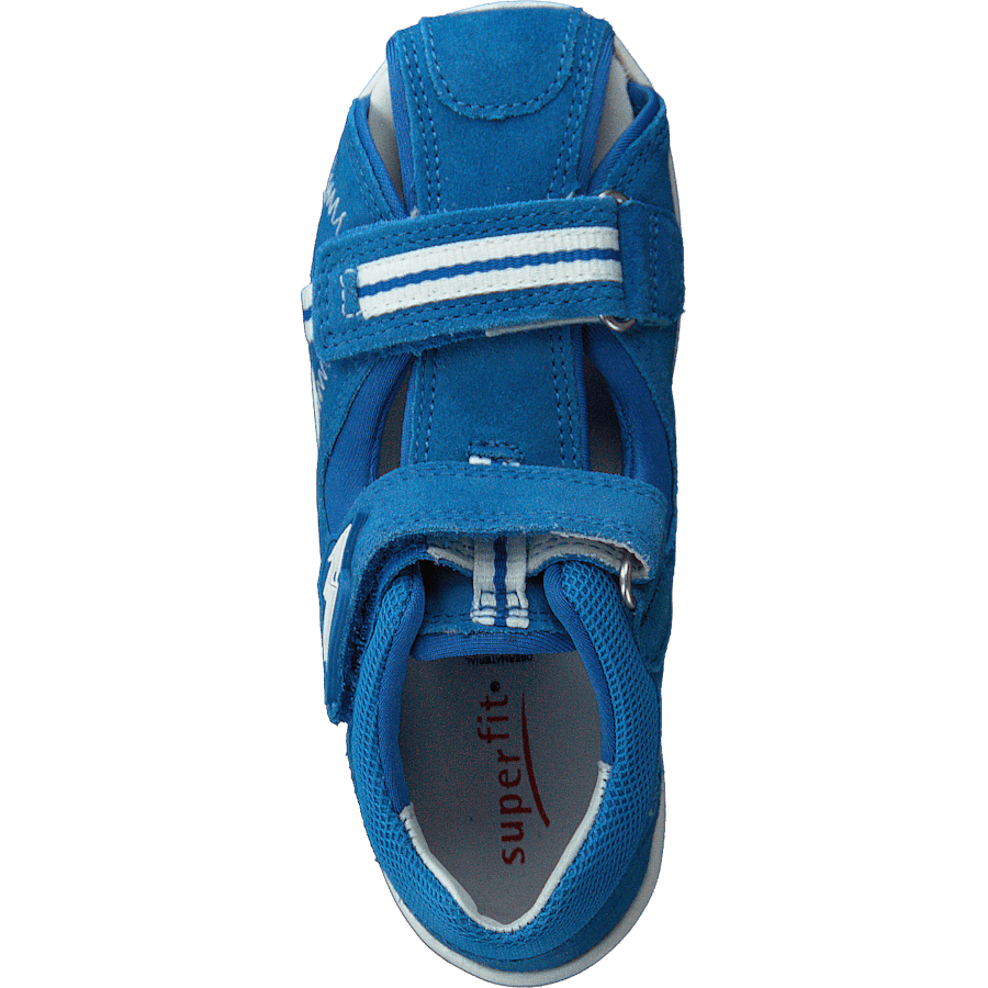 Freddy Blue