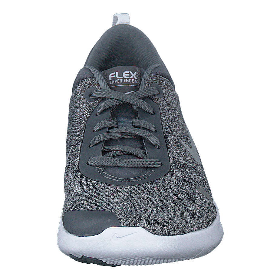 Wmns Flex Experience Cool Grey/reflect Silver