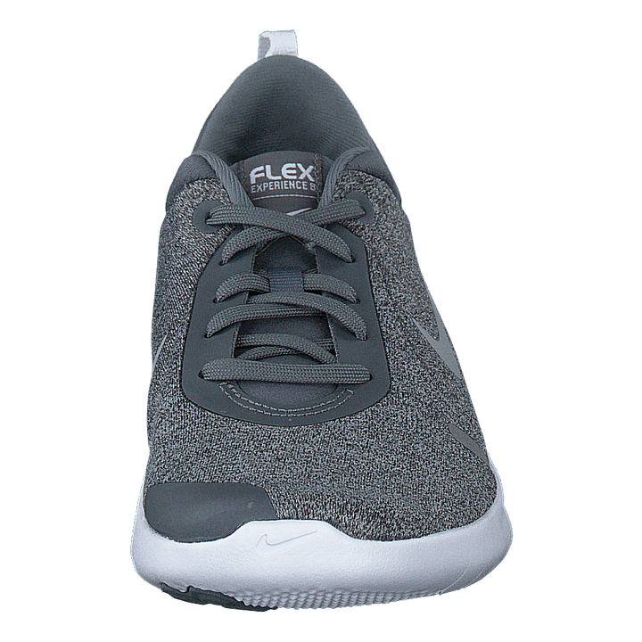 Wmns Flex Experience Cool Grey/reflect Silver