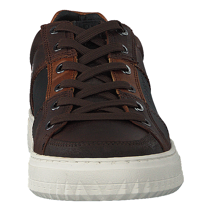 Collin Low Dmt M Dark Brown