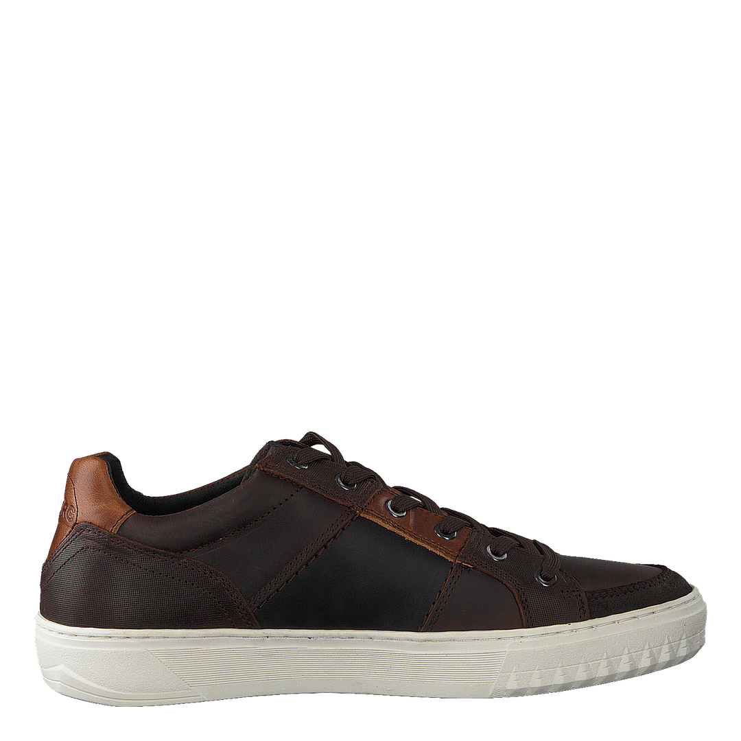 Collin Low Dmt M Dark Brown