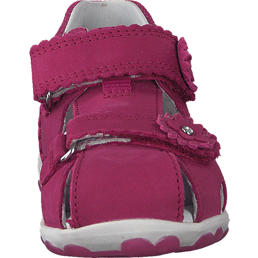 Fanni Pink