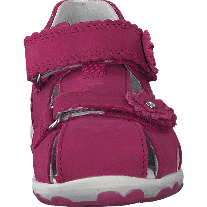 Fanni Pink