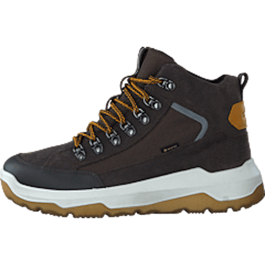 Space Gore-tex Browen