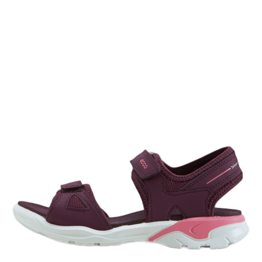 Ecco Biom Raft Aubergine