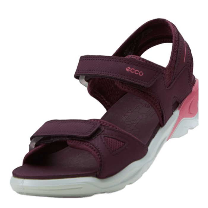 Ecco Biom Raft Aubergine