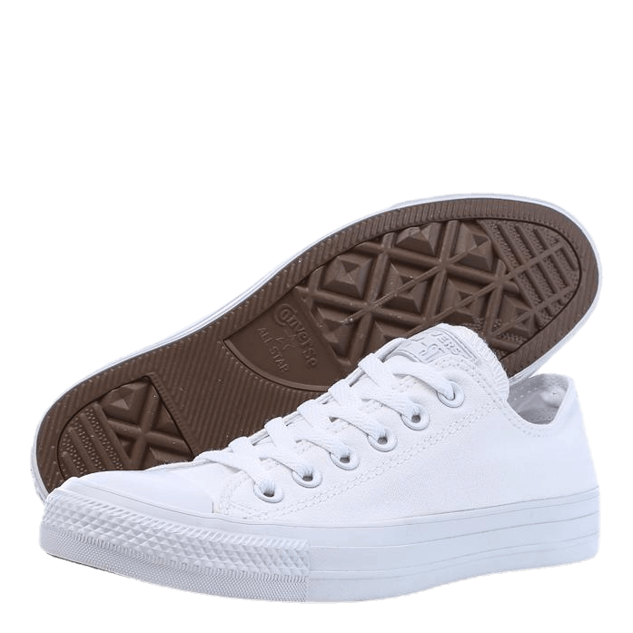 All Star Specialty White