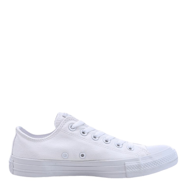 All Star Specialty White