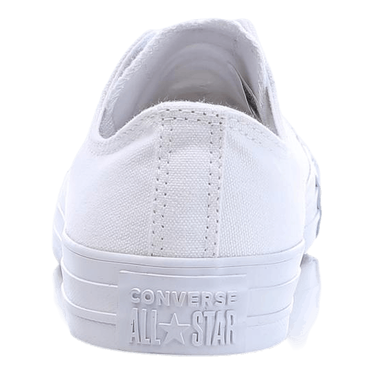 All Star Specialty White