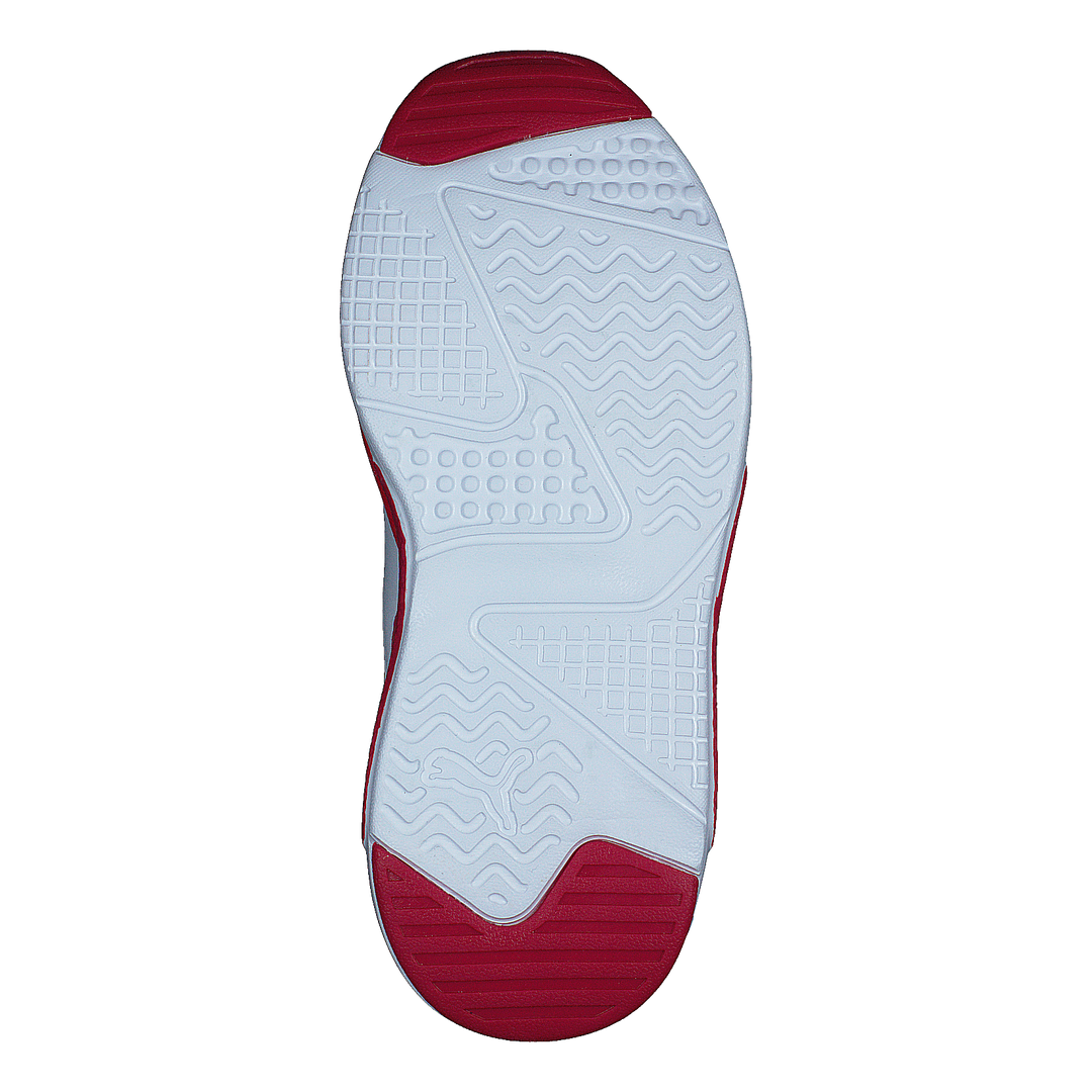 X-ray 2 Square Ac Ps Persian Red-puma White-paradis