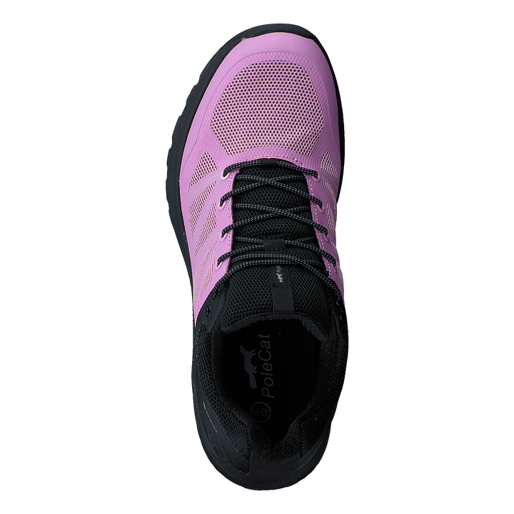 Urbs Zone Gtx Pink