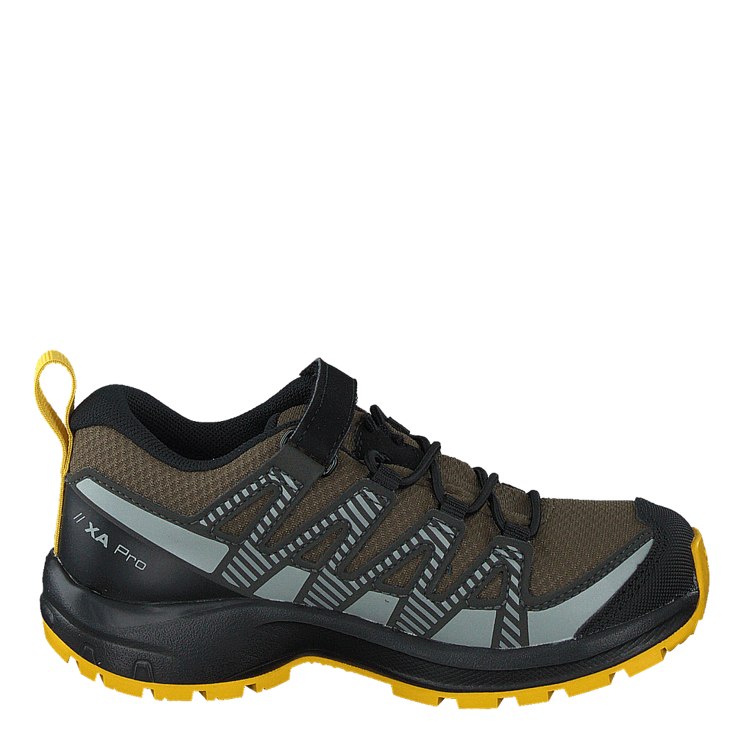 Xa pro 3d cswp 2025 k