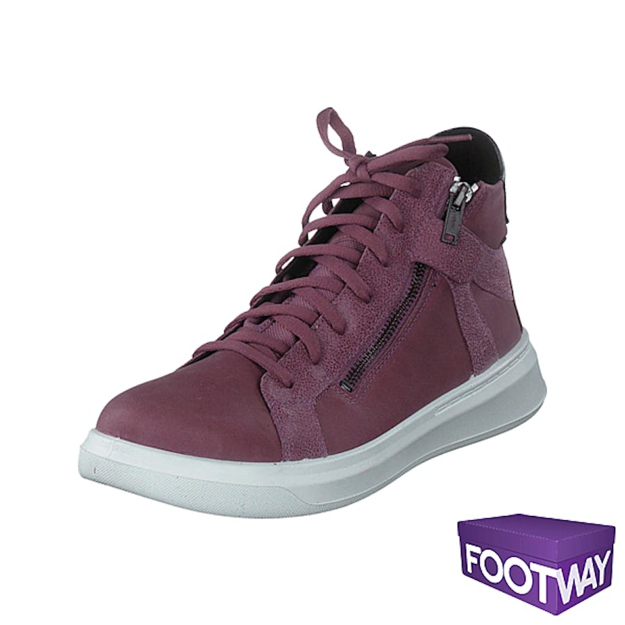 Cosmo Purple