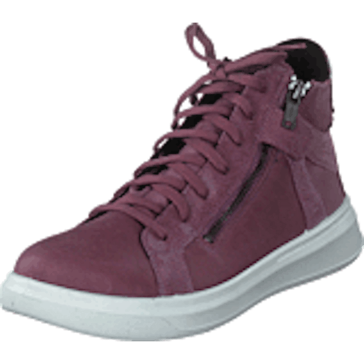 Cosmo Purple