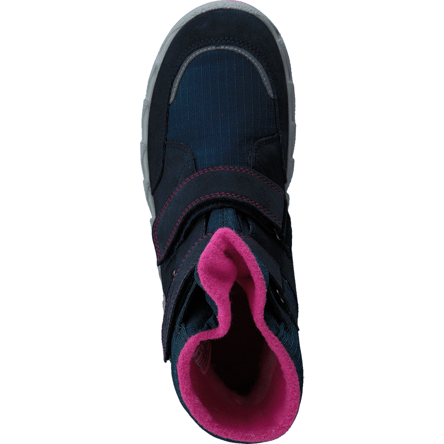 Icebird Blue/pink